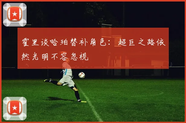 霍里谈哈珀替补角色：超巨之路依然光明不容忽视