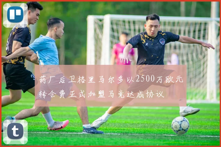 药厂后卫格里马尔多以2500万欧元转会费正式加盟马竞达成协议