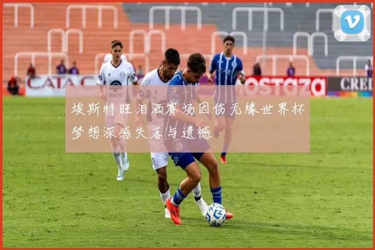 埃斯特旺泪洒赛场因伤无缘世界杯梦想深感失落与遗憾